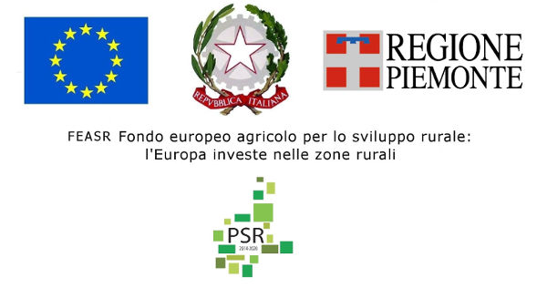 feasr